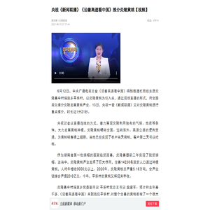 央视《新闻联播》《沿着高速看中国》推介炎陵黄桃【视频】