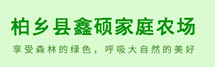 河北省石家庄市栾城区草坪种植基地